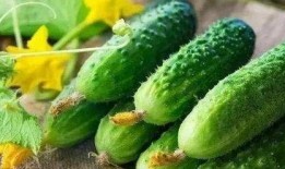 吃瓜裂变效应,揭秘网络舆论的传播密码