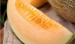 下雨后吃瓜视频,一场别开生面的吃瓜盛宴