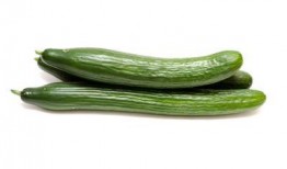 唐月明吃大瓜,揭秘吃大瓜的欢乐时光