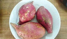 吃个地瓜吧吃地瓜挖瓜吃,从吃个地瓜吧到挖瓜吃，一场味蕾的奇妙之旅