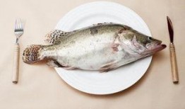 多鱼吃瓜,揭秘娱乐圈背后的那些事儿