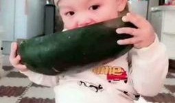 西瓜宝宝吃瓜视频,萌态十足引网友热议