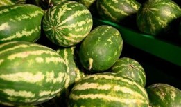 保定大观吃瓜事件,一场网络热议的社区冲突揭秘