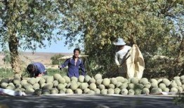 吃瓜客乡野闲人,吃瓜客的乡村生活剪影