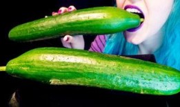 海月语音吃瓜,揭秘网络热词背后的趣味与争议