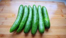 棚瓜吃有什么好吃,探寻独特风味，解锁美味新境界