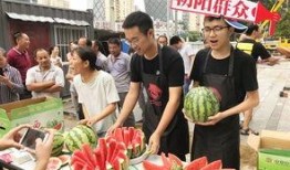 吃瓜51朝阳群众,网络舆论场上的“民间侦探”