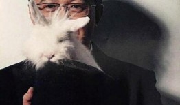 明星买料吃瓜,买料吃瓜背后的娱乐真相