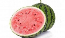 吃瓜只吃最甜的瓜瓤,探寻最甜瓜瓤的秘密