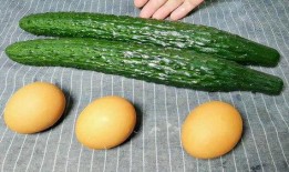 鸡蛋能和瓜吃吗,营养搭配的禁忌与建议