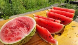 夏天吃瓜的声音,炎炎夏日里的清凉旋律