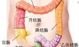 直肠术后吃蒲瓜,天然食疗新选择