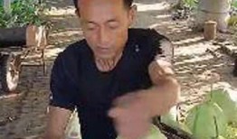 奇哥吃瓜,揭秘娱乐圈幕后故事