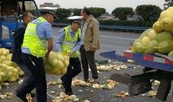 车厂吃瓜,一场关于“吃瓜”的狂欢盛宴