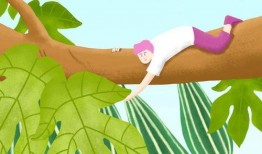 夏天吃瓜手册,跟着夏天吃瓜手册解锁清凉美食之旅