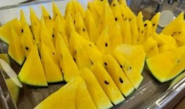 上海54岁阿姨吃瓜,一场意外的吃瓜盛宴