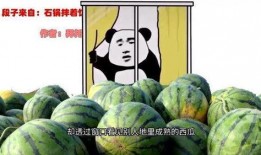 奇哥吃瓜,揭秘娱乐圈幕后故事