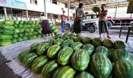 金门市场吃瓜事件,一场引发热议的食品安全风波