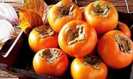 尿酸高可以吃吊瓜,吊瓜助力健康生活