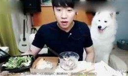 韩国吃货主播吃瓜是谁,吃瓜现场趣味横生