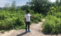 直接拘留吃瓜群众,揭秘网络围观背后的法律边界