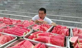 临河吃瓜大赛,一场别开生面的吃瓜大赛盛况回顾