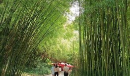 吃瓜盟主河南,吃瓜盟主带你领略中原美食风情