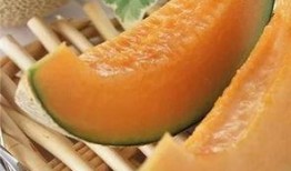 哈密瓜幼瓜能吃吗怎么吃,口感与营养的双重享受