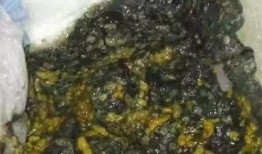 吃脆瓜大便发绿