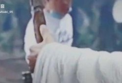 吃瓜博君,网络红人的崛起与影响力