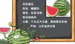 吃瓜推荐内容,跟随潮流，畅享娱乐盛宴