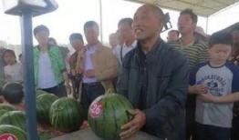 清远吃瓜群众新闻视频,最新新闻视频揭秘事件真相