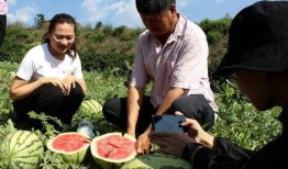 玉溪师院吃瓜,揭秘校园美食背后的故事