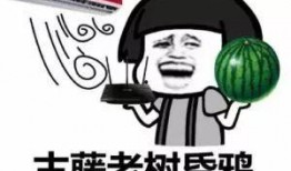 许昌关于吃瓜的梗,一场关于吃瓜的欢乐盛宴