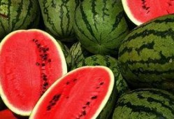 玄学大师科学吃瓜,科学吃瓜的奇妙之旅