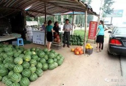 金门市场吃瓜事件,一场引发热议的食品安全风波