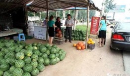 金门市场吃瓜事件,一场引发热议的食品安全风波