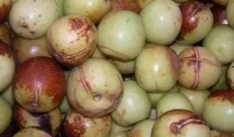 瓜枣怎么吃,教你轻松解锁健康美味吃法