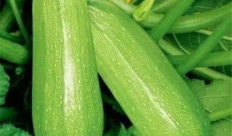 ucds吃瓜,揭秘网络热点的背后真相