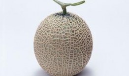 孕妇吃哈密瓜拉肚子,营养与安全的平衡之道