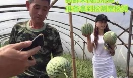 吃瓜群众拍的直播,吃瓜群众视角下的精彩瞬间