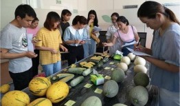 南京科技吃瓜,揭秘校园里的“吃瓜”风云