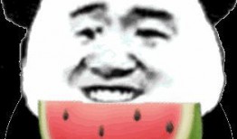 熊猫吃瓜表情,萌态百出，趣味横生
