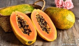 棒棒瓜咋吃,探索美味新境界