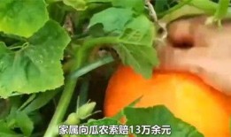 梦见偷瓜吃被发现,偷瓜吃被发现背后的心理寓意