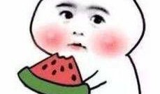 吃瓜不如读书语录,开启智慧人生之旅