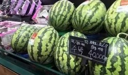 吃韩国瓜,揭秘“吃瓜”背后的故事