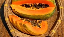 吃瓜网免费吃瓜黑入口,畅享海量瓜子的秘密通道