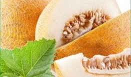 二胖吃哈密瓜,甜蜜滋味与健康生活的完美邂逅