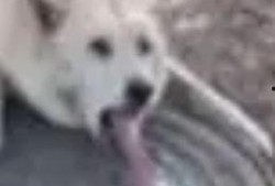 舔狗带你吃瓜,带你走进吃瓜群众的狂欢世界